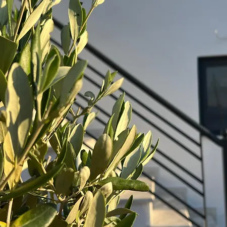Appart hôtel Apollonio Corinthe