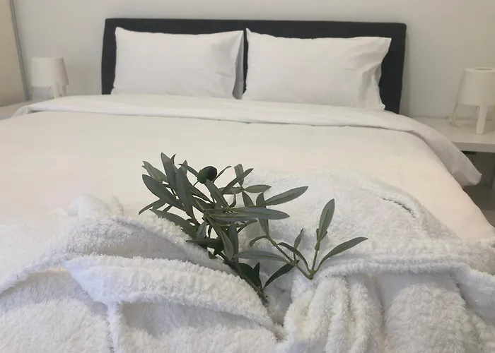 公寓式酒店 Apollonio